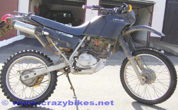 Honda NX 125